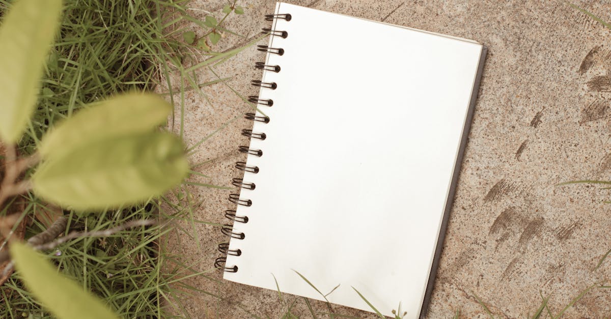 Best Practices for Organising Documents and Supplies